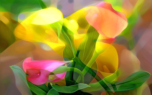 963430 (a): :1920x1200